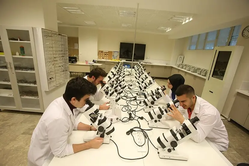 جامعة اسكودار